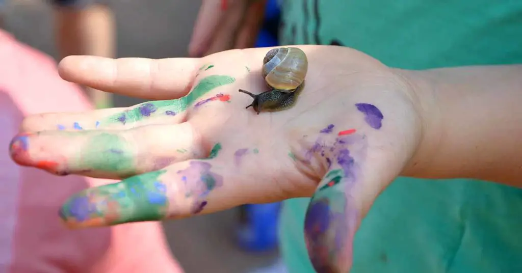 Schnecke auf Kinderhand, Übung zur Frage: Was ist Kreativität?